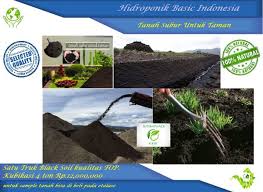 Kepekatan humus di chernozem biasanya beliau percaya bahawa penguraian tumbuhan bertanggungjawab untuk pembentukan chernozems. Jual Tanah Humus Hitam 1 Truk 4 Ton Di Lapak Cv Hydroponik Basic Indonesia Bukalapak