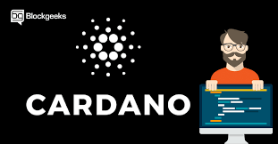 Why cardano is the right investment right now! What Is Cardano Blockchain The Most Comprehensive Updated Guide