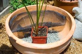 Maybe you would like to learn more about one of these? Setting Up An Edible Water Garden Extract From Small Space Organics By Josh Byrne How To Make A Garden Terrarium