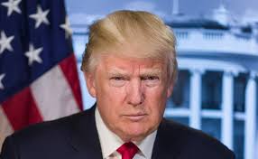 Tim Human, Author at IR Impact