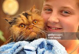 275 Craig Olsen Stock Photos, High-Res Pictures, and Images