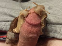 Snails taking good care of my cock - Creature Comforts | MOTHERLESS.COM ™