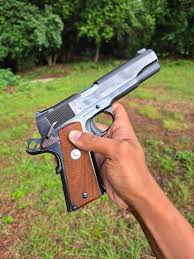 Image result for Maroon 1976 Colt