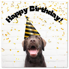 Free for commercial use high quality images. Free Printable Birthday Cards