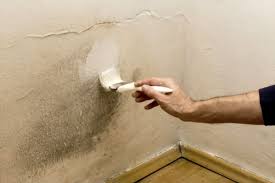 Mold on your basement or exterior walls occurs when water vapor in the air meets a cold surface and turns the vapor into a liquid. How To Remove Mold From Painted Walls