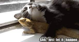 Shhh Just Let It Happen Gifs Tenor