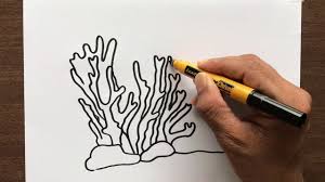 Oil painting tips for fish found in. How To Draw Coral Youtube