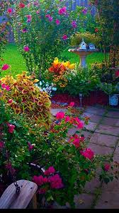 10 Harmonic Clever Ideas Backyard Garden Vegeta Cottage Garden Small Cottage Garden Ideas Garden Layout