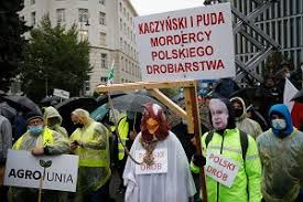 Justyna suchecka zwyciężyła w kategorii dziennikarstwo specjalistyczne. Wies Justyna Aktualne Wydarzenia Z Kraju I Zagranicy Wyborcza Pl