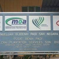 Was honorably certified with malaysian sustainability palm oil (mspo) to offer concrete assurance to palm oil producers, importers and. Felcra Plantation Services S B Seberang Perak Kg Gajah Perak