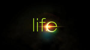 1000 Life Status In English Latest Updated Collection Stay connected with us for more updates. 1000 life status in english latest