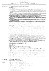 A vendor management policy is a document that informs senior management and the board about the activities provided in the vendor a comprehensive vendor management policy is the foundation of a strong vendor management practice. Vendor Risk Management Resume Samples Velvet Jobs