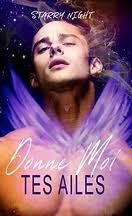 Realms of Love, Tome 1 : The Solstice Prince