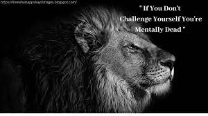 25 Motivational Lion Pictures Quotes Brave Lion Quotes