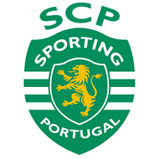 Image result for psd portugal