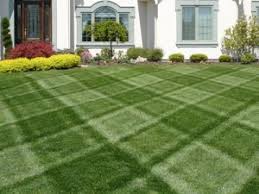 2020 spring lawn tips warm season bermuda and zoysia grass alpha grass mayhem. The Lawn Care Nut Change Comin