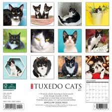 The word tuxedo describes a color pattern that may occur among any number of breeds of. Tuxedo Cats 2021 Wall Calendar By Willow Creek Press Calendar Club Canada