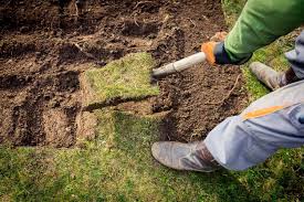 Zen garten anlegen) ist mit sehr viel aufwand, zeit und mühe verbunden. Zen Garten Anlegen So Schafft Man Einen Ort Der Ruhe Plantura