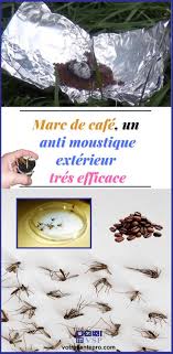 Marc De Cafe Un Anti Moustique Exterieur Efficace La Sante Naturellement Anti Moustique Moustique Anti Moustique Maison