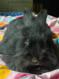 Could care less about this