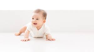 Entwicklung Im 8 Monat Letsfamily