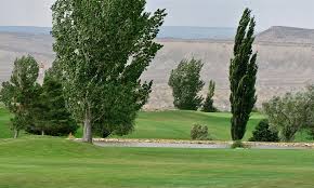 We are a small town located in northwest colorado surrounded by beautiful mesas and adventure around every corner. Cedar Ridges Golf Course Rangely Co Always Time For 9