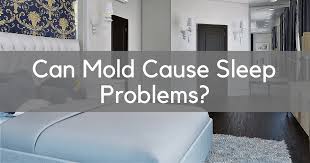 Now you know the potential causes of damp on a bedroom ceiling, it is time to discover which one is causing the issue. Can Mold Cause Sleep Problems Counting Sheep Sleep Research