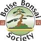Late Spring/Early Summer Workshop Deep Dive — Boise Bonsai Society