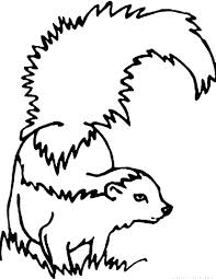 Realistic Skunk Coloring Page Forest Coloring Pages Coloring Pages Animal Coloring Pages