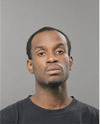 ᐅ Illinois Criminal Records 2009-2025