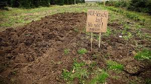 Die abgestochene scholle wird gewendet und an dem. Den Gartenboden Umgraben Oder Lockern Ndr De Ratgeber Garten