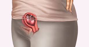 Your baby is about the size of a grape your baby now weighs a fraction of an ounce and is almost 1 inch long. 9 Weeks Pregnant 9 Weeks Pregnant Symptoms Baby At 9 Weeks Huggies India