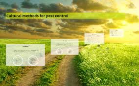 Establish an action threshold for the pest. Cultural Methods For Pest Control By Alison Milner