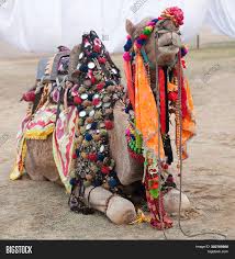 4,425 likes · 2 talking about this · 17,064 were here. Beautiful Decorated Image Photo Free Trial Bigstock