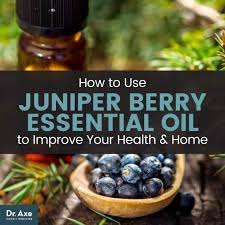 Essential oils contain constituents that will be recognized by our body systems and handled appropriately. Juniper Berry Essential Oil Uses Benefits Dr Axe