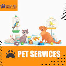 Pets care hospital, johar town, lahore, pakistan. Pets Care Hospital 28 Photos Pet Service 871 R1 Johar Town Lahore Lahore Punjab Pakistan 54609