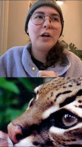 𝐌𝐚𝐫𝐢𝐚𝐦 𝐖𝐞𝐬𝐭𝐨𝐧: 𝐂𝐨𝐧𝐬𝐞𝐫𝐯𝐚𝐭𝐢𝐨𝐧 𝐇𝐞𝐫𝐨~ 𝐌𝐞𝐱𝐢𝐜𝐨  Perhaps one of Mariam's most impactful contributions is her commitment to  empowering young women to pursue careers in conservation. By fostering  leadership and providing ...