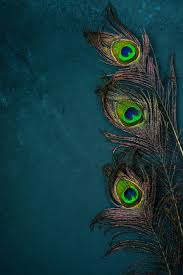 Bright Multicolored Peacock Feathers On Dark Lord Krishna Wallpapers Lord Krishna Hd Wallpaper Krishna Wallpaper
