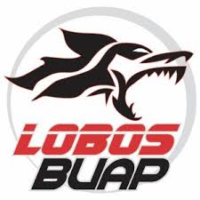 Association football logos of mexico. Tigres Uanl Logo Svg
