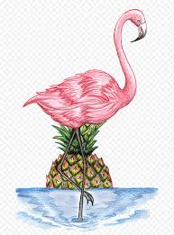 Here are a few steps to draw a flamingo. Flamingo Drawing How To Draw Phoenicopterus Pencil Sunset Painting 2019 Png Klipartz