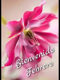 A Todo Positivo - Bienvenido Febrero!! ♥ Frases para  www.emprendedorespositivos.com | Facebook