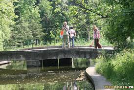 Gradina botanica bucuresti are o suprafata totala de 17,5 ha si aproximativ 4000 m2 de sere. GrÄƒdina BotanicÄƒ Din BucureÈ™ti Spectacol Al Naturii Sau Doar Un Parc Cu Bilet De Intrare Webphoto Ro