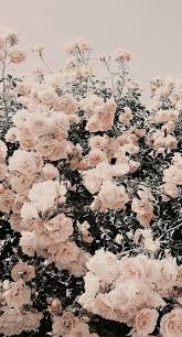 Locks Screen Iphone Wallpaper Butterfly And Flowers Iphone Wallapaper Iph In 2020 Wallpaper Tumblr Lockscreen Aesthetic Iphone Wallpaper Iphone Background Wallpaper