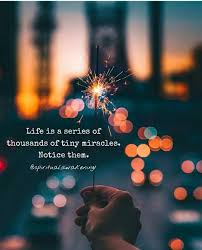 Life Is A Series Of Thousands Of Tiny Miracles Quotes Pin De Jade Santos En Love