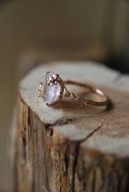 Petra Stauffer (lizzybookworm)