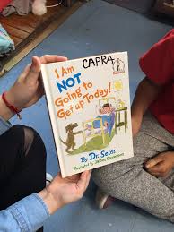 Tara Capra (@Mrs_Capra)