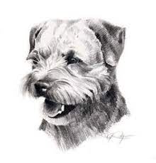 Bacary sagna says hector bellerin could. 270 Idees De Pepper En 2021 Chien Border Terrier Portraits De Chiens