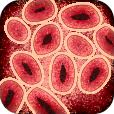 May 27, 2020 · you can safely toggle the mod (even whilst the game is still running) to have the scenarios return to their original state. Scenarios Plague Inc Wiki Fandom