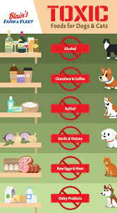 Toxic Foods For Dogs And Cats Blain S Farm Fleet Blog Toxic Foods For Dogs Toxic Foods Dog Food Recipes
