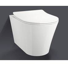 jungborn spoelrandloos toilet melissa incl softclose wc bril met quick release kopen bij hornbach inloopdouche wanden toilet